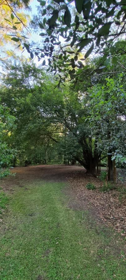 Bird Songs Getaway Accommodation Cabbage Tree Creek Екстер'єр фото